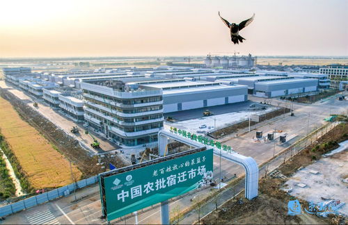 產業旺、村和美、同致富 宿遷集成推進鄉村全面振興的建筑工程實踐